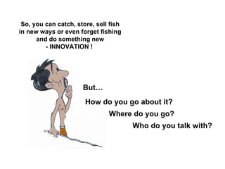 Capacity to innovate: what does that mean??