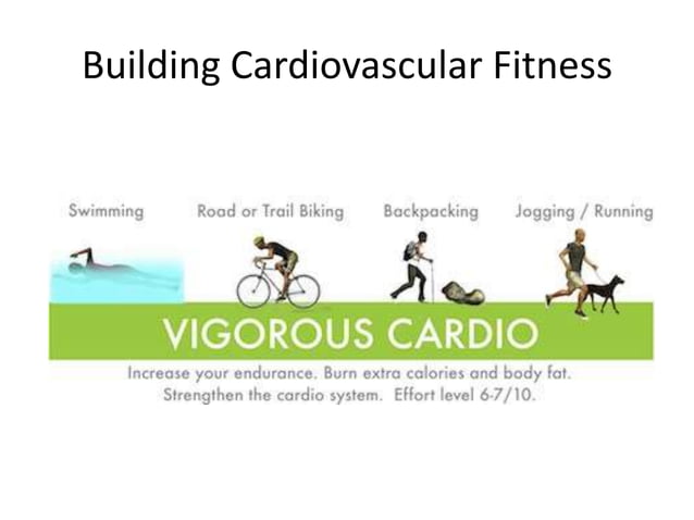 Building Cardiovascular Fitness Pptx
