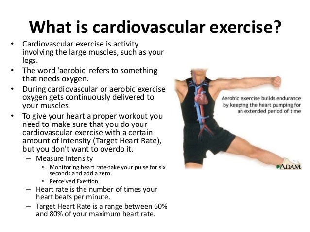 cardiovascular endurance sports