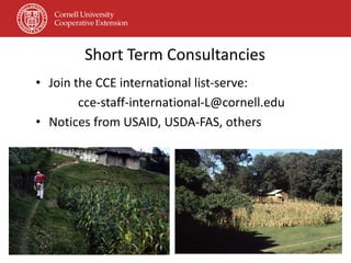 Short Term Consultancies
• Join the CCE international list-serve:
        cce-staff-international-L@cornell.edu
• Notices from USAID, USDA-FAS, others
 