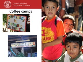 Coffee camps
 