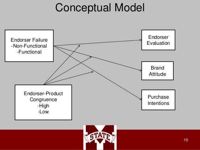 Building Celebrity Brands: Understanding Consumer Responses to Endors…