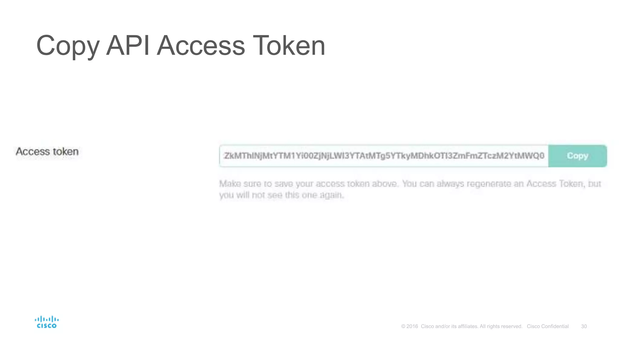 Copy API Access Token
 