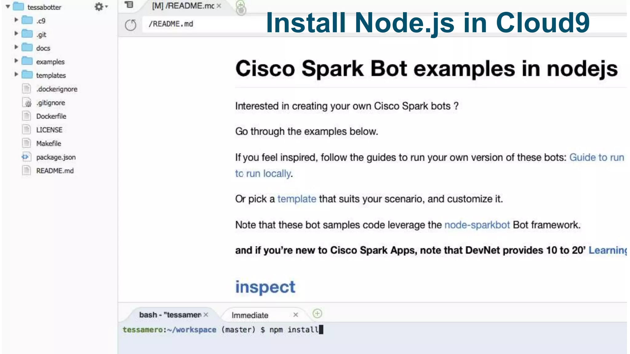 Install Node.js in Cloud9
 