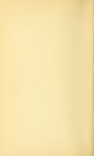 HOOVER'S BUILDING CODE COMMITTEE REPORT -- 1925