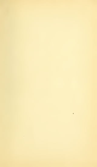 HOOVER'S BUILDING CODE COMMITTEE REPORT -- 1925