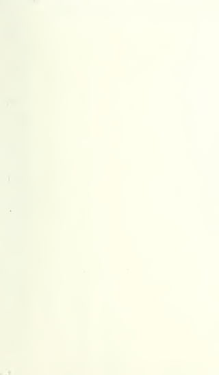 HOOVER'S BUILDING CODE COMMITTEE REPORT -- 1925