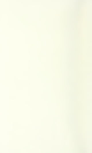 HOOVER'S BUILDING CODE COMMITTEE REPORT -- 1925