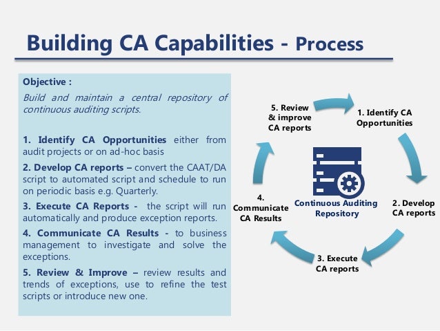 Building continuous auditing capabilities