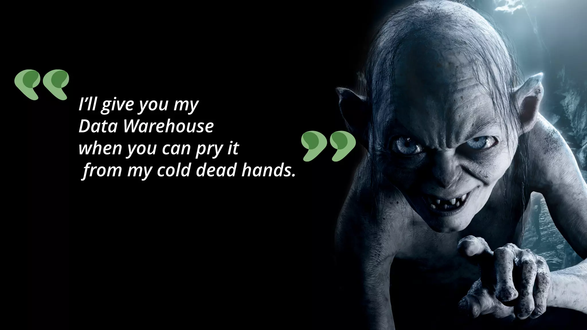 I’ll give you my  
Data Warehouse  
when you can pry it 
from my cold dead hands.
 