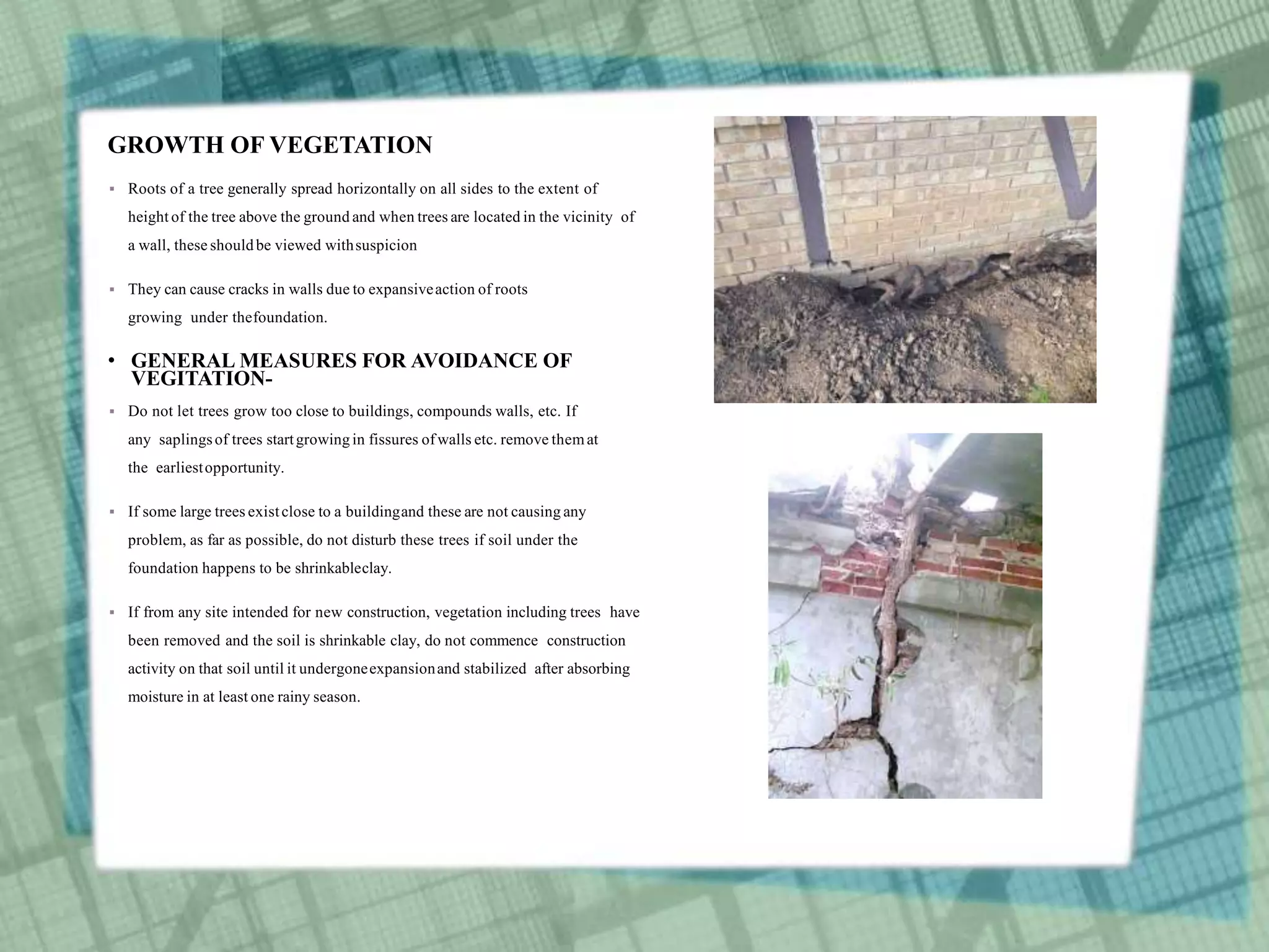 GROWTH OF VEGETATION
 Roots of a tree generally spread horizontally on all sides to the extent of
height of the tree above the ground and when trees are located in the vicinity of
a wall, these shouldbe viewed withsuspicion
 They can cause cracks in walls due to expansiveaction of roots
growing under thefoundation.
• GENERAL MEASURES FOR AVOIDANCE OF
VEGITATION-
 Do not let trees grow too close to buildings, compounds walls, etc. If
any saplingsof trees startgrowingin fissures ofwalls etc. remove themat
the earliestopportunity.
 If some large trees existclose to a buildingand these are not causing any
problem, as far as possible, do not disturb these trees if soil under the
foundation happens to be shrinkableclay.
 If from any site intended for new construction, vegetation including trees have
been removed and the soil is shrinkable clay, do not commence construction
activity on that soil until it undergoneexpansionand stabilized after absorbing
moisture in at least one rainy season.
 