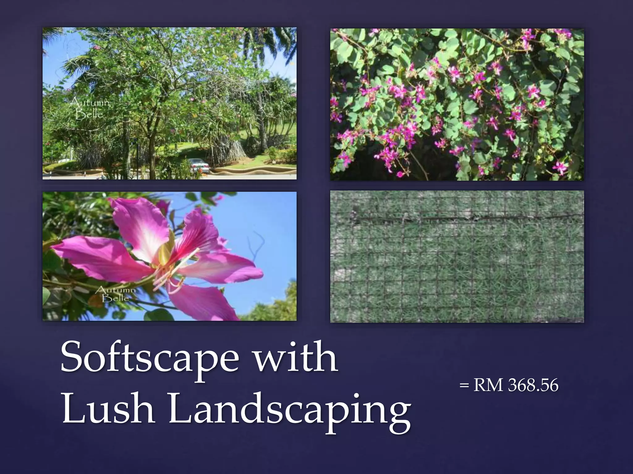 Softscape with
Lush Landscaping
= RM 368.56
 