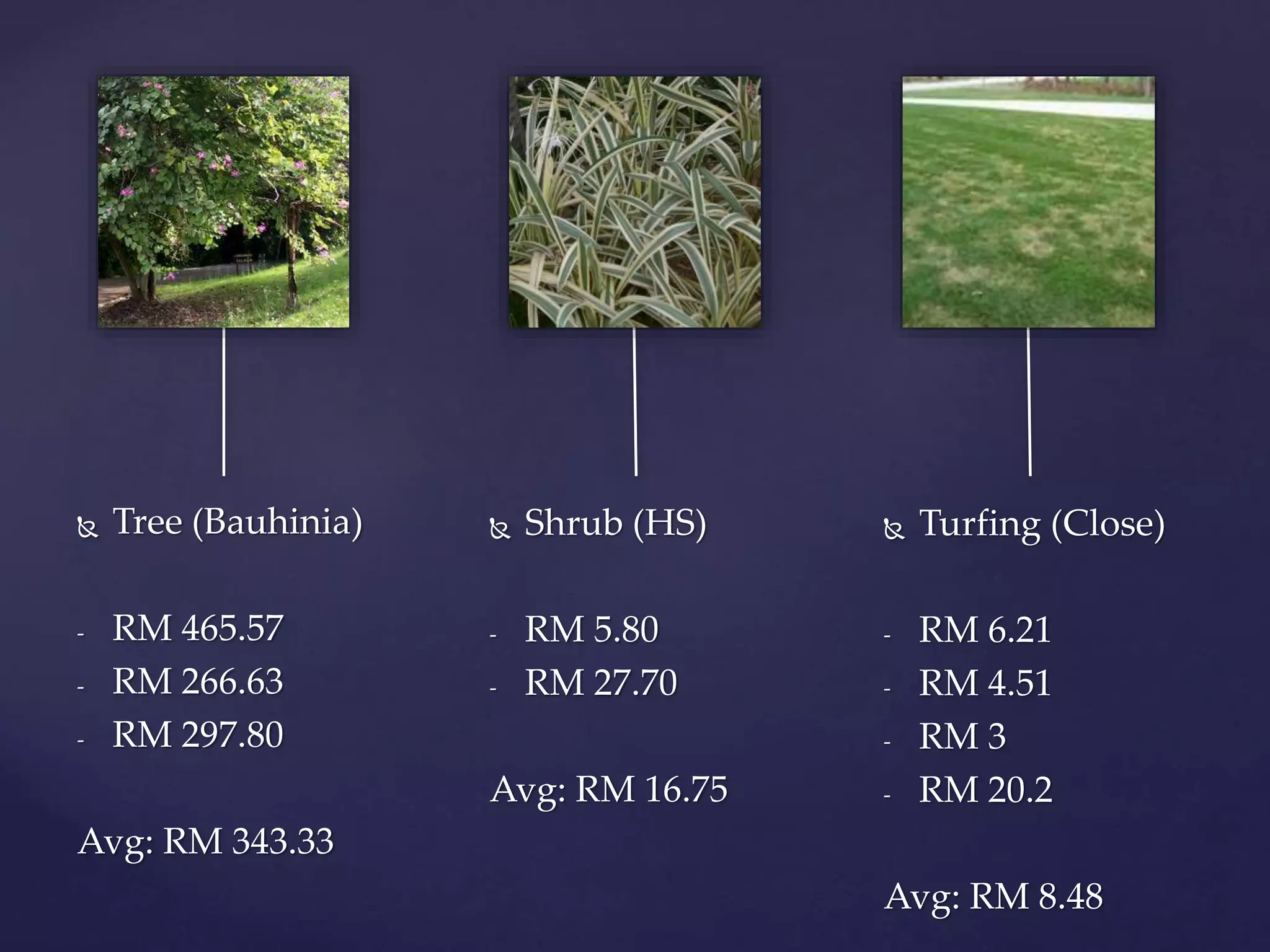  Tree (Bauhinia)
- RM 465.57
- RM 266.63
- RM 297.80
Avg: RM 343.33
 Shrub (HS)
- RM 5.80
- RM 27.70
Avg: RM 16.75
 Turfing (Close)
- RM 6.21
- RM 4.51
- RM 3
- RM 20.2
Avg: RM 8.48
 