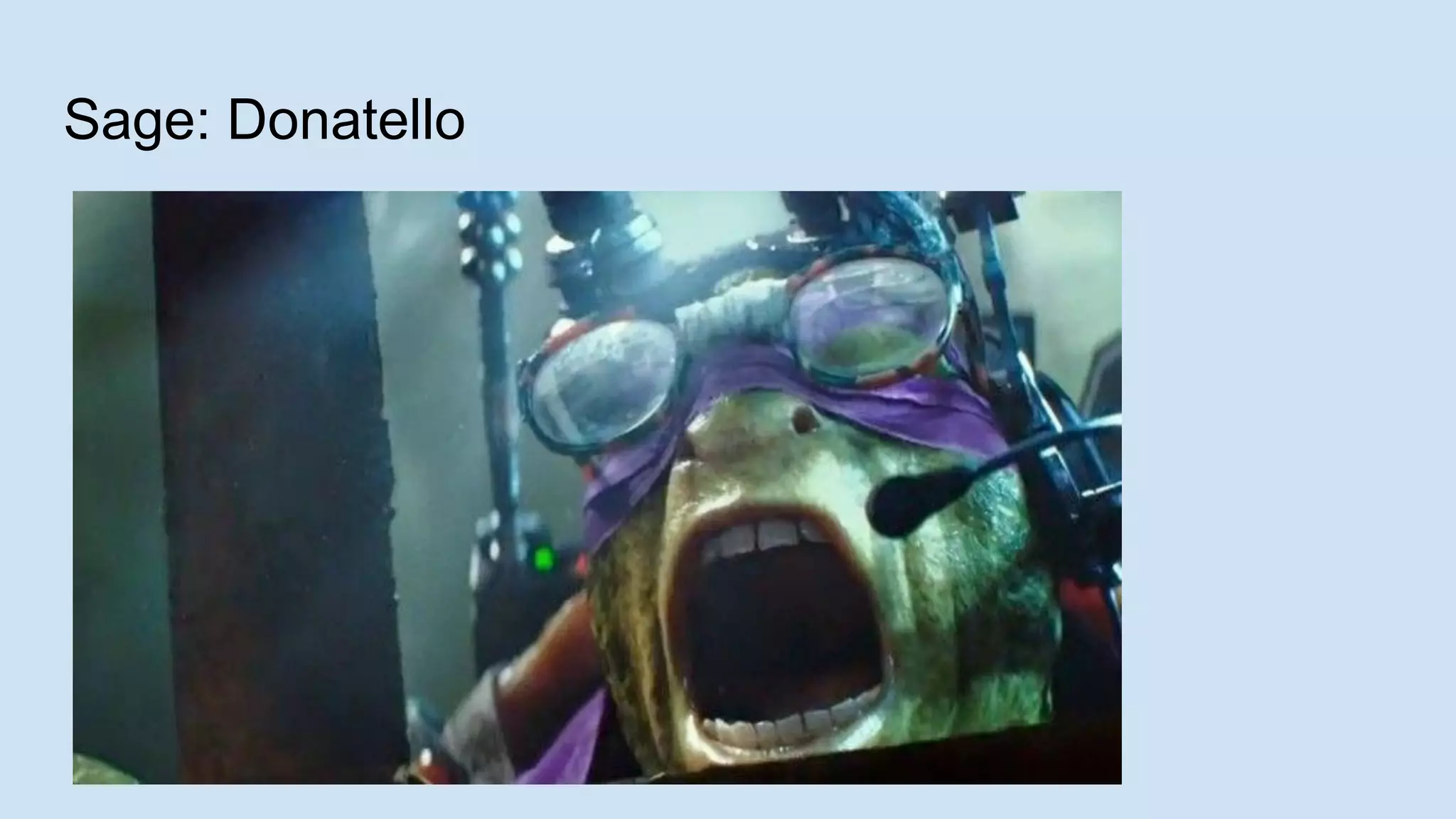Sage: Donatello
 