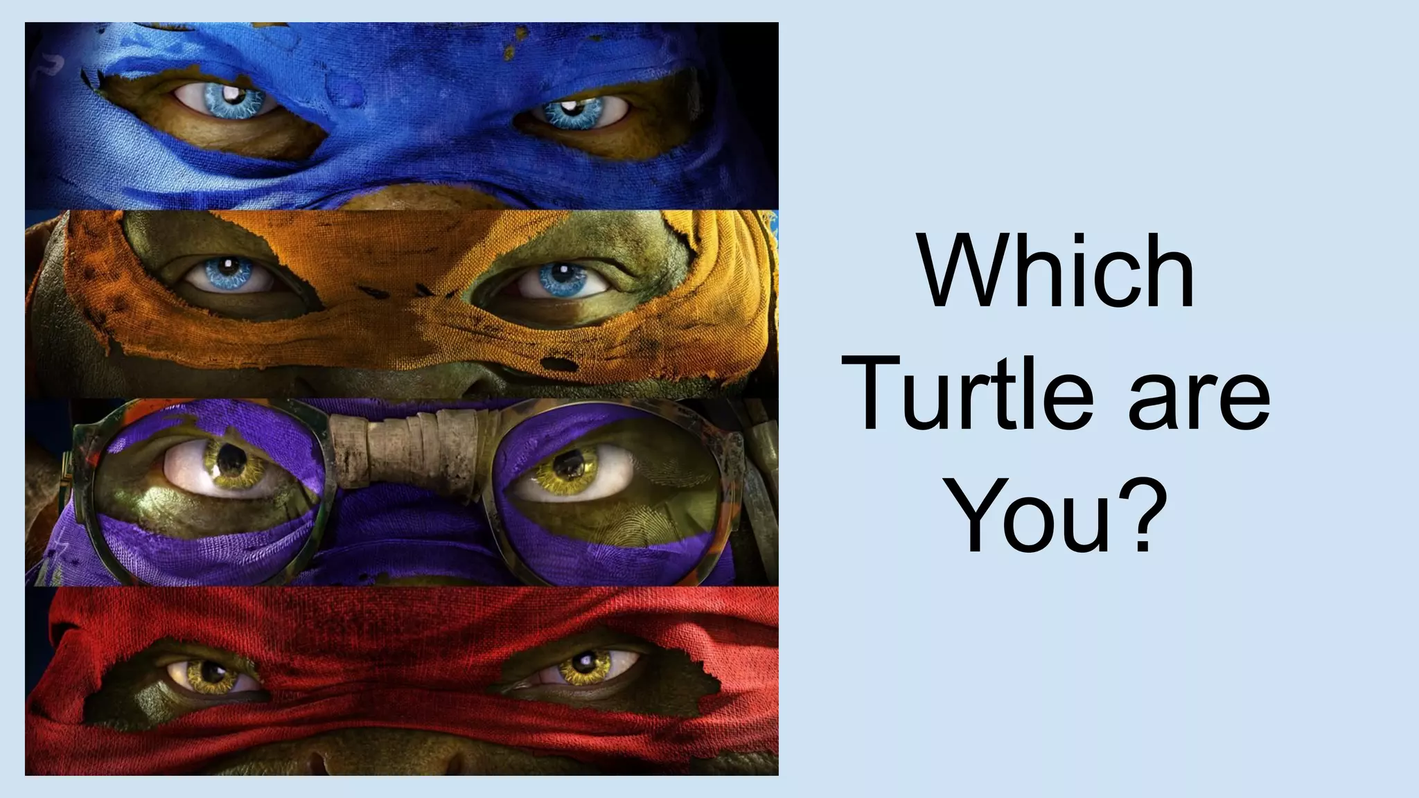 Which
Turtle are
You?
 