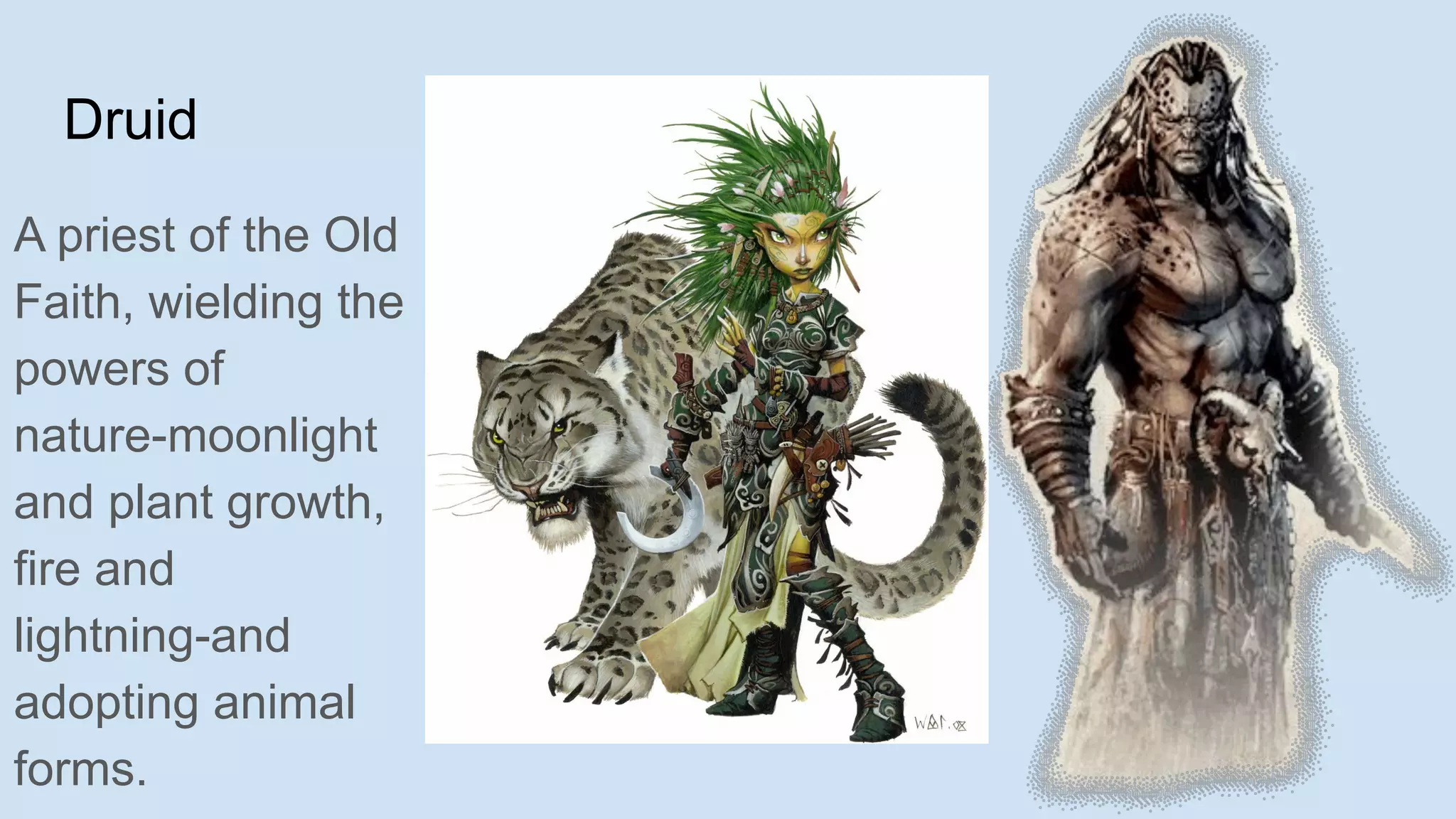 Druid
A priest of the Old
Faith, wielding the
powers of
nature-moonlight
and plant growth,
fire and
lightning-and
adopting animal
forms.
 