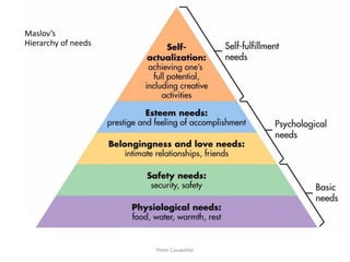 Maslov’s Hierarchy of needs 
Peter Cauwelier  