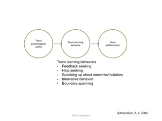 (Edmondson, A. C. 2003) 
Team psychological safety 
Team learning behavior 
Team performance 
Team learning behaviors 
-Feedback seeking 
-Help seeking 
-Speaking up about concerns/mistakes 
-Innovative behavior 
-Boundary spanning 
Peter Cauwelier  