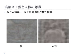 実験２：猫と人体の認識
   猫と人体ニューロンに最適化された信号




         猫           人体
 