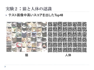 実験２：猫と人体の認識
   テスト画像中高いスコアを出したTop48




          猫                人体
 