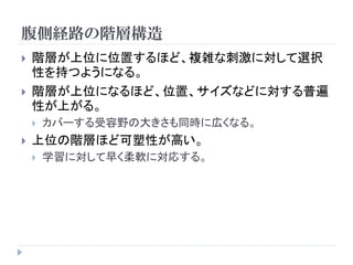 腹側経路の階層構造
   階層が上位に位置するほど、複雑な刺激に対して選択
    性を持つようになる。
   階層が上位になるほど、位置、サイズなどに対する普遍
    性が上がる。
       カバーする受容野の大きさも同時に広くなる。
   上位の階層ほど可塑性が高い。
       学習に対して早く柔軟に対応する。
 