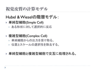 視覚皮質の計算モデル
Hubel & Wieselの階層モデル：
   単純型細胞(Simple Cell)
       ある形状に対して選択的に反応


   複雑型細胞(Complex Cell)
       単純細胞からの出力を受け取る。
       位置とスケールの選択性を除去する。


   単純型細胞と複雑型細胞で交互に処理される。
 