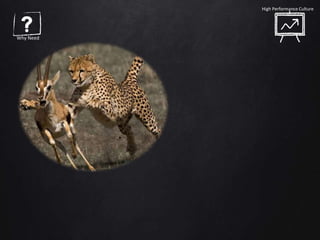 Why Need
High Performance Culture
 