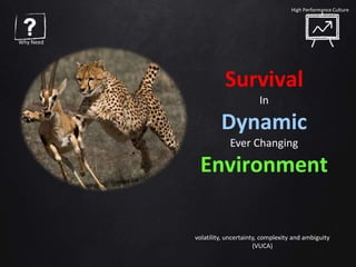 Survival
In
Dynamic
Ever Changing
Environment
volatility, uncertainty, complexity and ambiguity
(VUCA)
Why Need
High Performance Culture
 