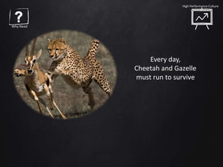 Why Need
High Performance Culture
Every day,
Cheetah and Gazelle
must run to survive
 