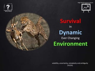 Survival
In
Dynamic
Ever Changing
Environment
volatility, uncertainty, complexity and ambiguity
(VUCA)
Why Need
High Perfo...