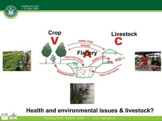 Building institutional research capacity for integrated approaches: An example from Vietnam