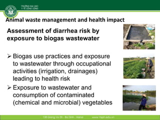 Building institutional research capacity for integrated approaches: An example from Vietnam