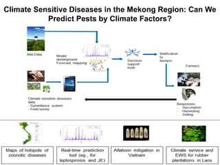 Building institutional research capacity for integrated approaches: An example from Vietnam