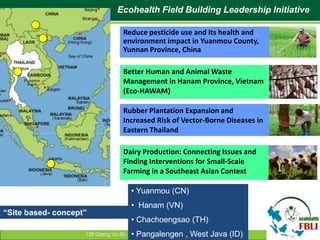 Building institutional research capacity for integrated approaches: An example from Vietnam