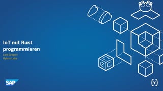 IoT mit Rust programmieren | PDF
