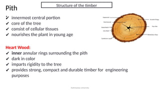 Building Material II_Lecture 1_2_Wood and Timber.pptx