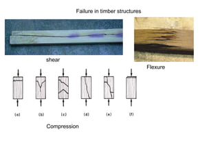 Failure in timber structures shear Flexure Compression 