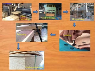Glue
spreading
Cold pressing
Hot pressing
sandingTrimming
Grading and packing
 