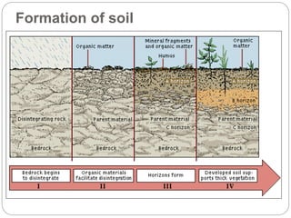 Formation of soil
 