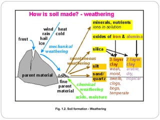 Fig. 1.2. Soil formation - Weathering
 
