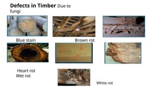 Building Iron Rot Building Materials c2 bricks and iron steel | PPTX