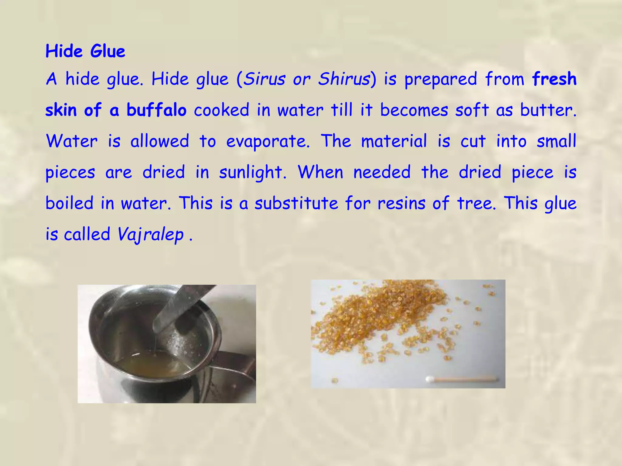 Hide Glue
A hide glue. Hide glue (Sirus or Shirus) is prepared from fresh
skin of a buffalo cooked in water till it becomes soft as butter.
Water is allowed to evaporate. The material is cut into small
pieces are dried in sunlight. When needed the dried piece is
boiled in water. This is a substitute for resins of tree. This glue
is called Vajralep .
 