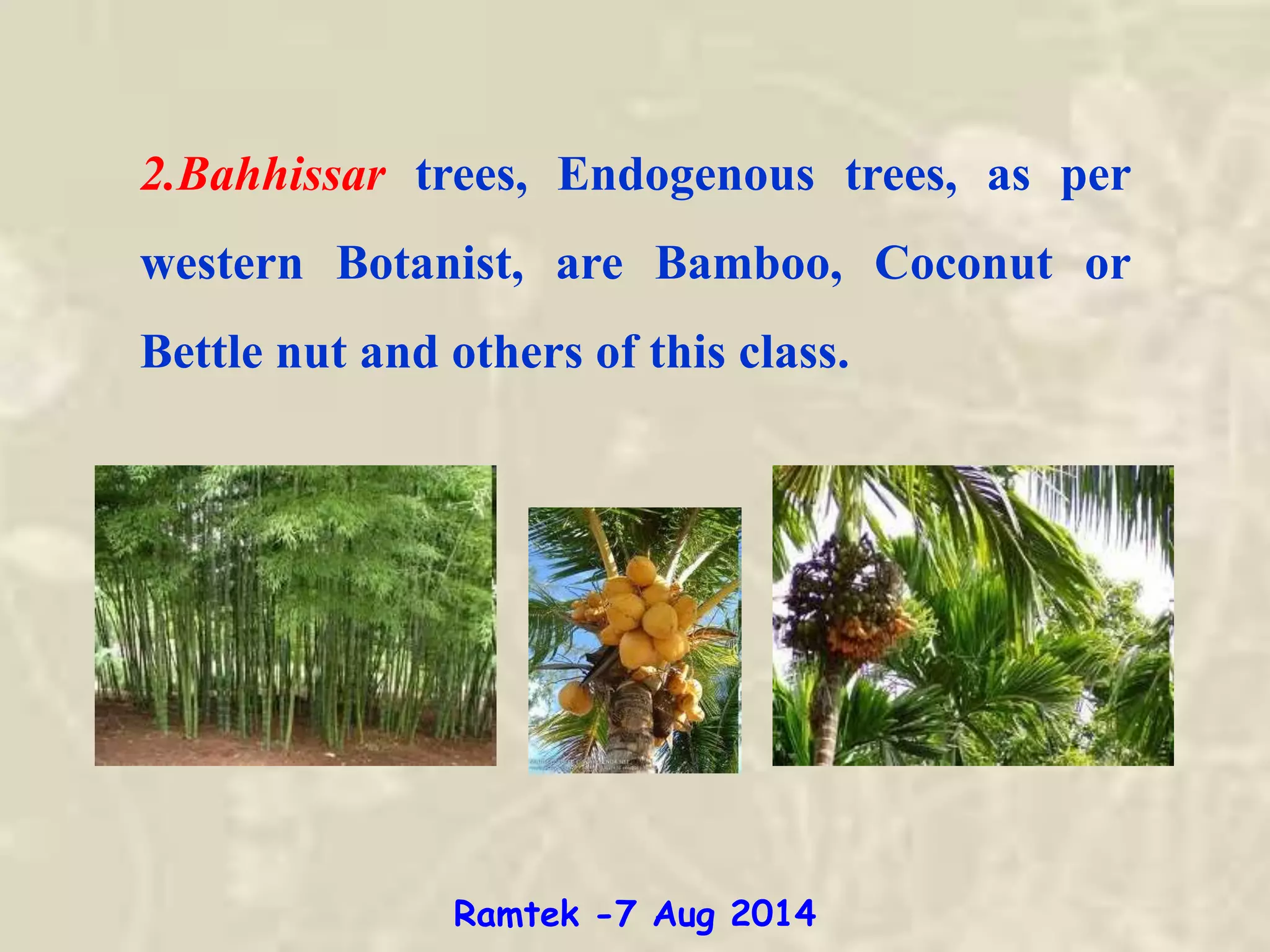 2.Bahhissar trees, Endogenous trees, as per
western Botanist, are Bamboo, Coconut or
Bettle nut and others of this class.
Ramtek -7 Aug 2014
 