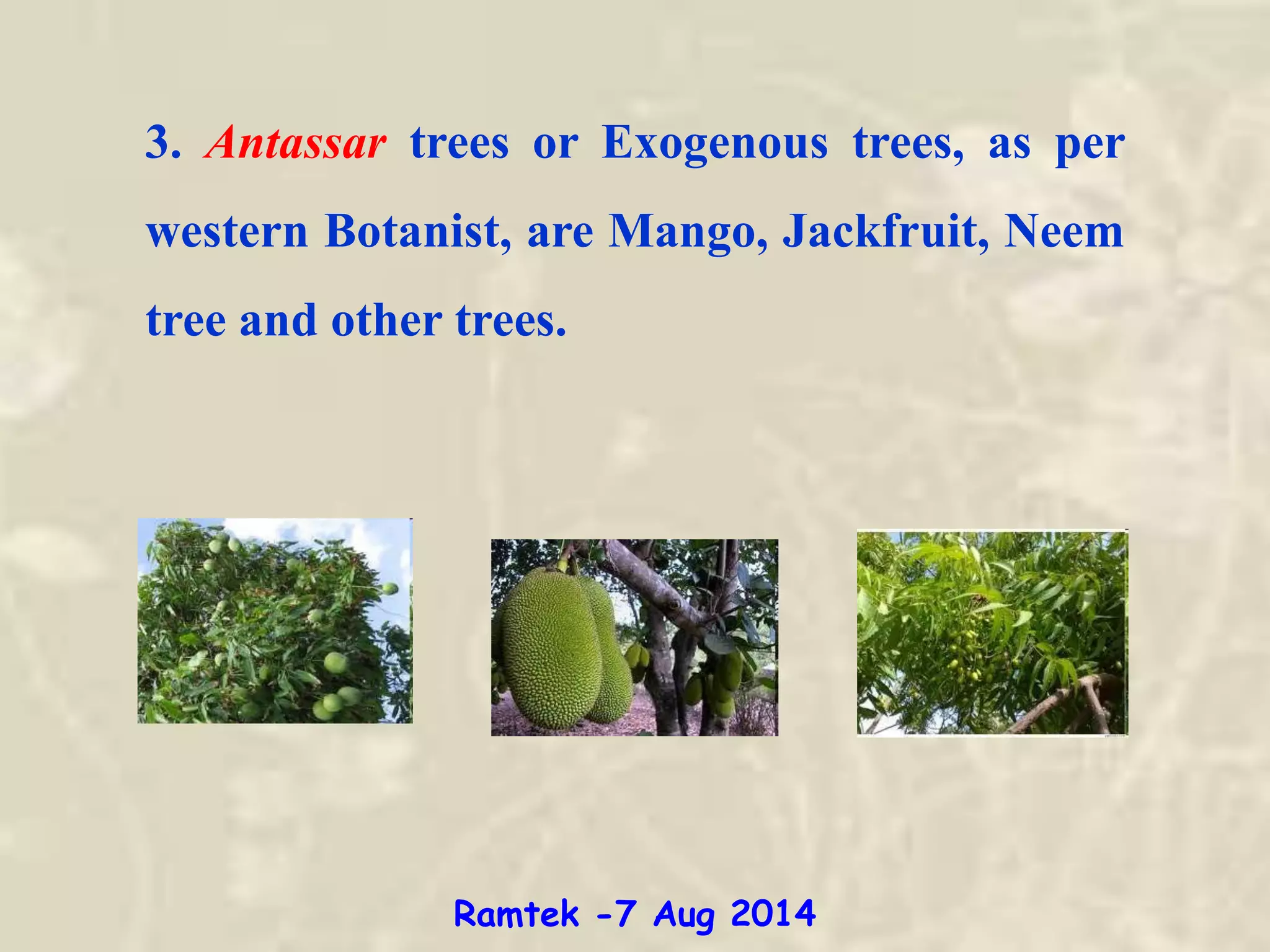 3. Antassar trees or Exogenous trees, as per
western Botanist, are Mango, Jackfruit, Neem
tree and other trees.
Ramtek -7 Aug 2014
 