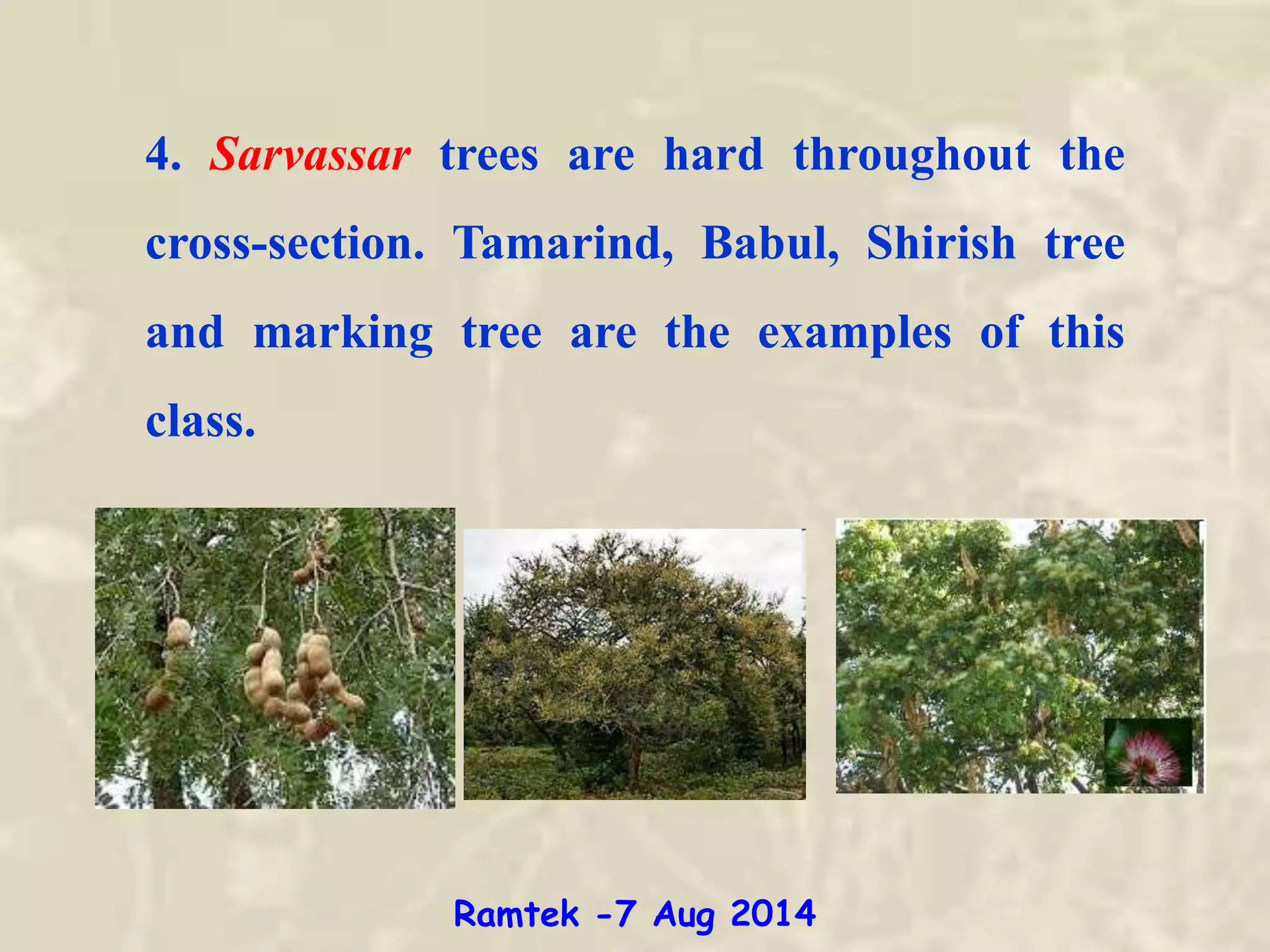 4. Sarvassar trees are hard throughout the
cross-section. Tamarind, Babul, Shirish tree
and marking tree are the examples of this
class.
Ramtek -7 Aug 2014
 