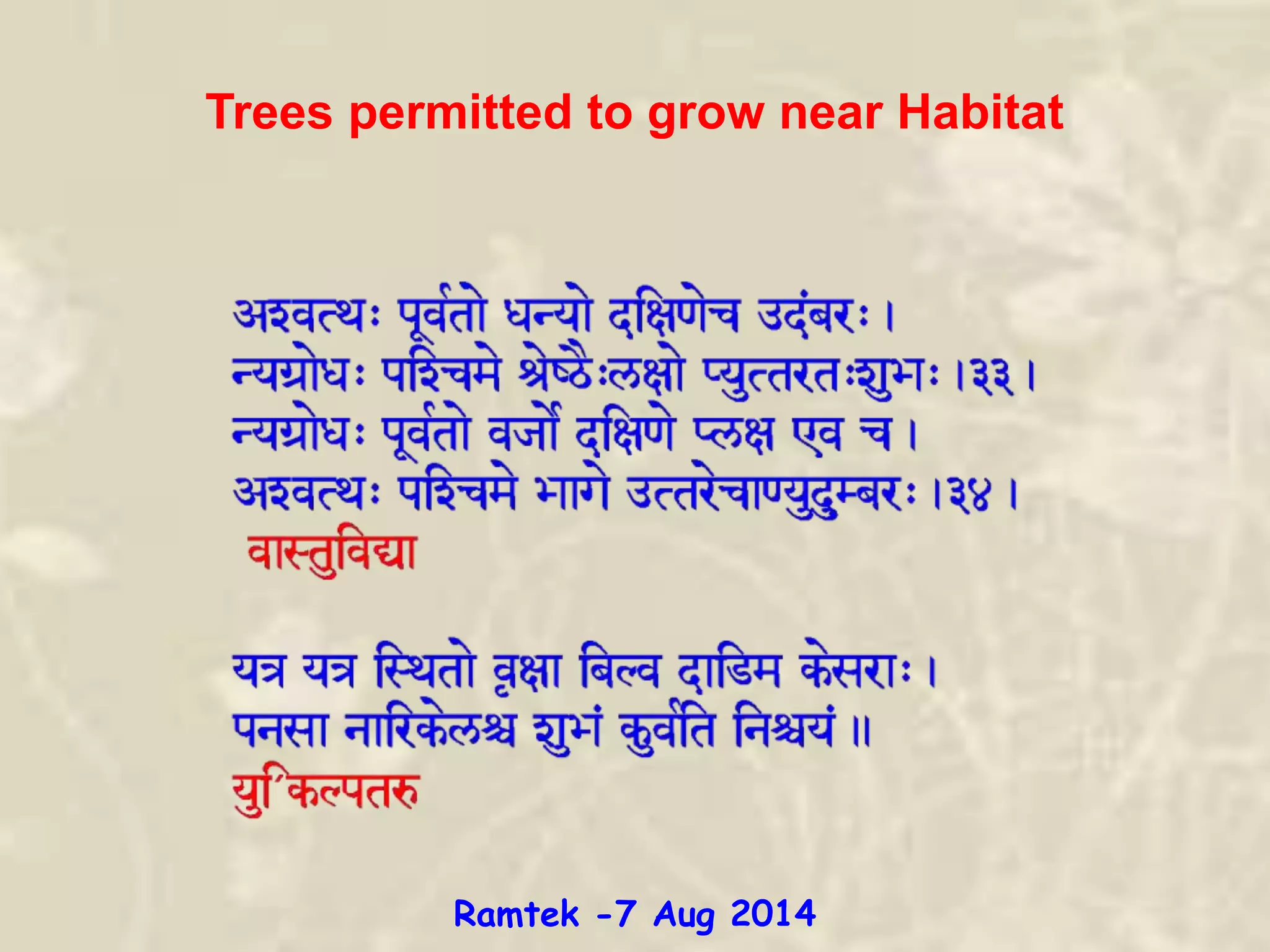 Trees permitted to grow near Habitat
Ramtek -7 Aug 2014
 