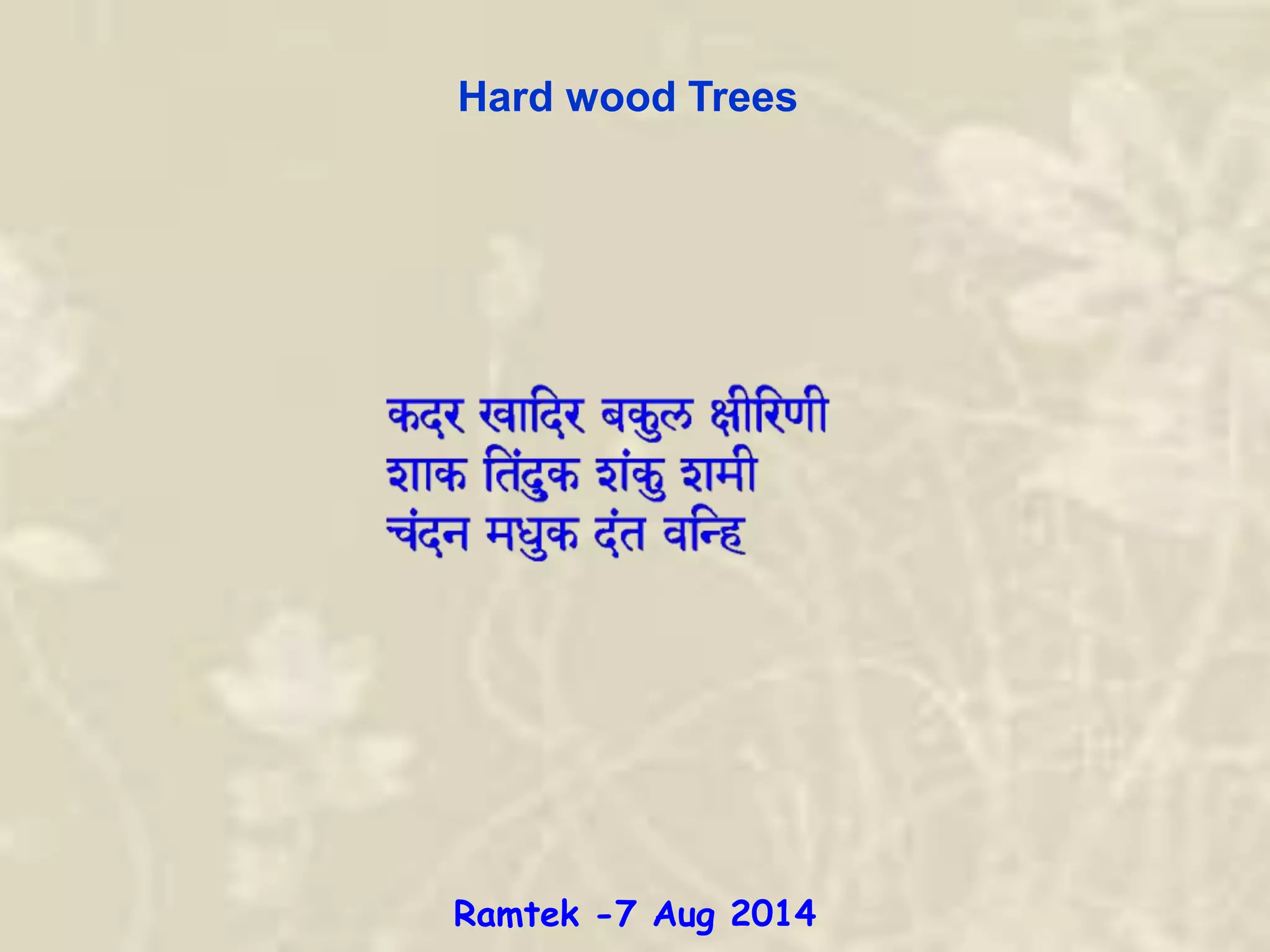 Hard wood Trees
Ramtek -7 Aug 2014
 