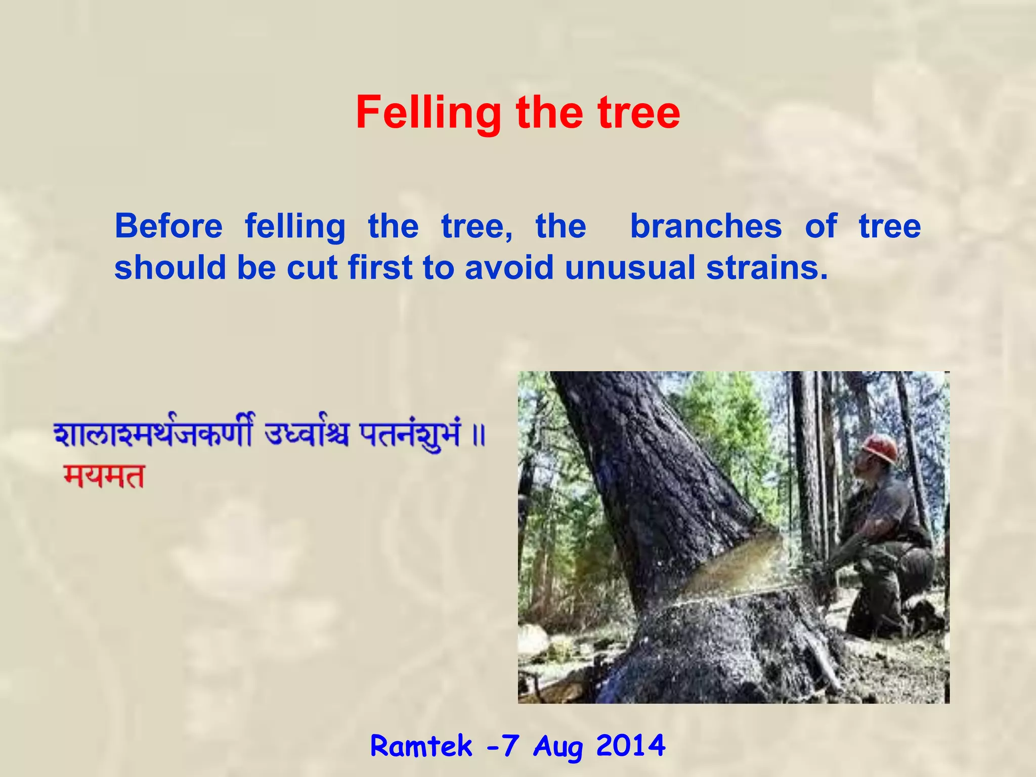Before felling the tree, the branches of tree
should be cut first to avoid unusual strains.
Felling the tree
Ramtek -7 Aug 2014
 