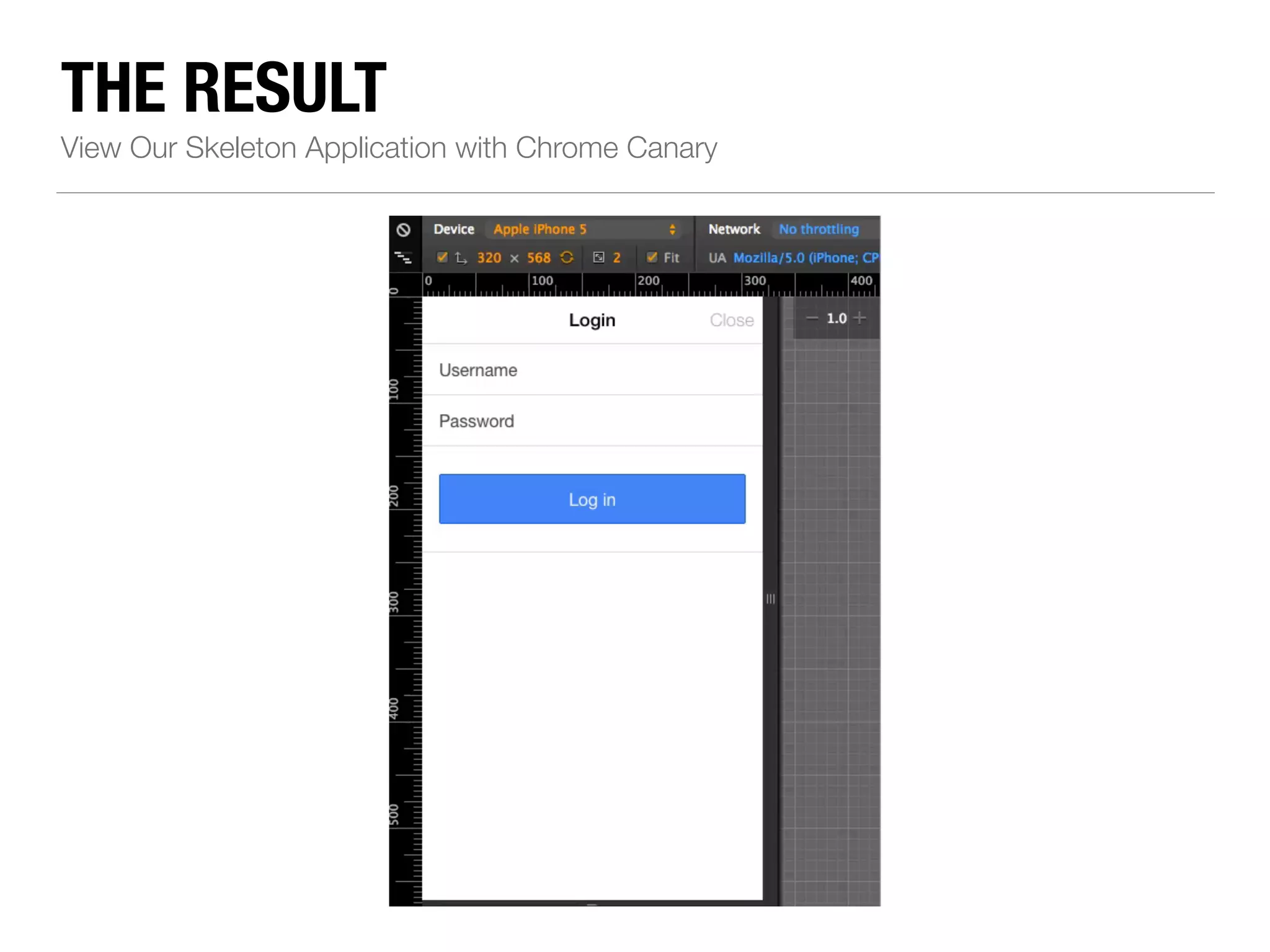 THE RESULT View Our Skeleton Application with Chrome Canary 