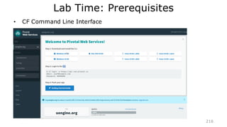 SOA Maturity Levels
202
 